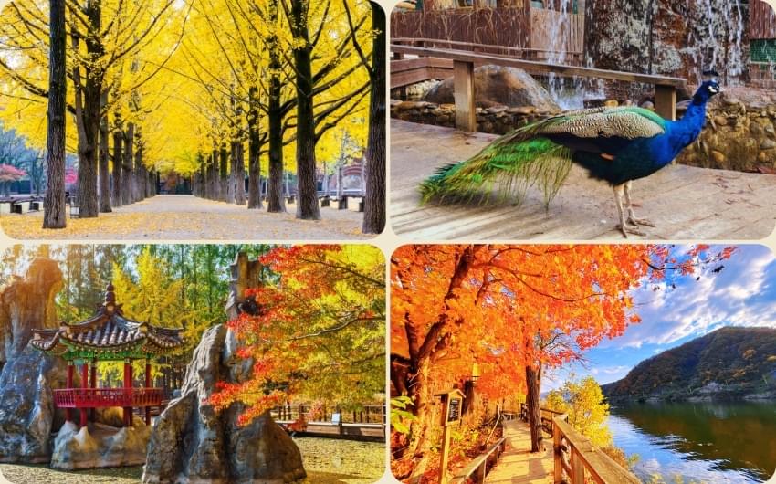 Nami Island.jpg